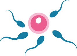 Kryokonservierung,Spermien einfrieren